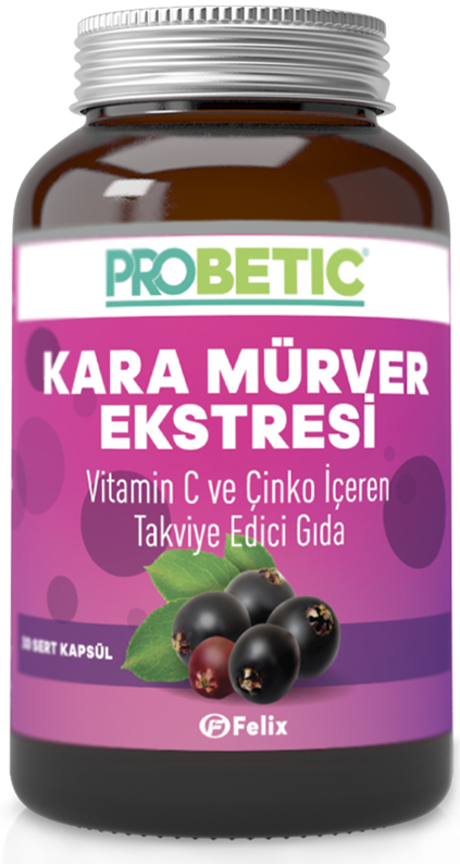 Sambucuk